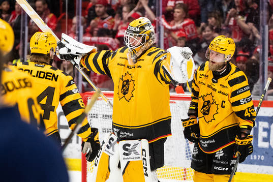 Skellefteås målvakt Linus Söderström jublar