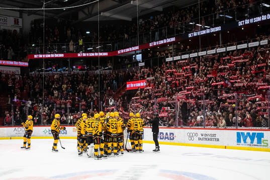 Skellefteås spelare jublar