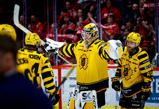 Skellefteås målvakt Linus Söderström jublar