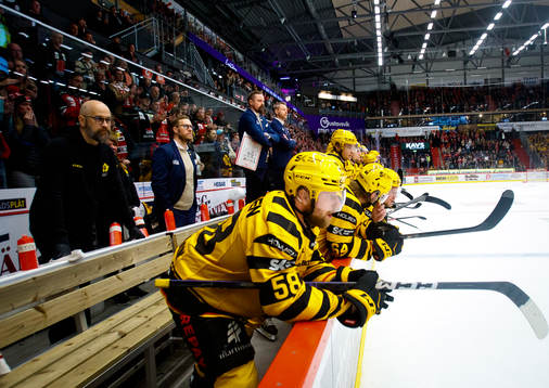 Skellefteås assisterande tränare Andreas Falk,