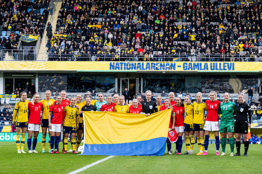 Players and the referees