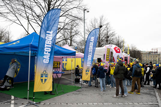Fan zone