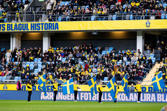 People holding the Swedish flag
