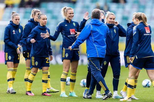 Players of Sweden