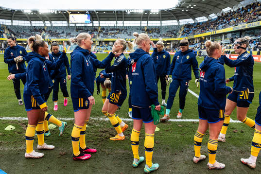 Players of Sweden