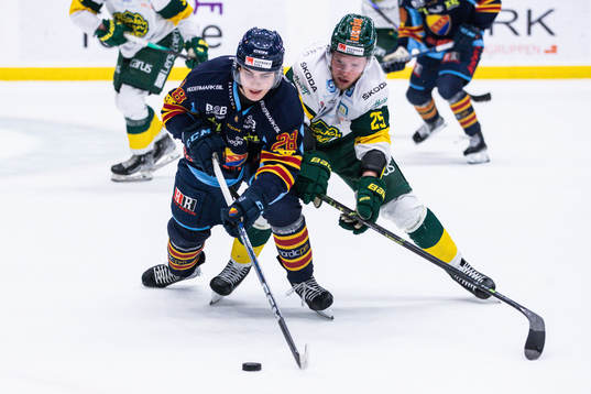 Djurgårdens Liam Öhgren och Björklövens Christopher