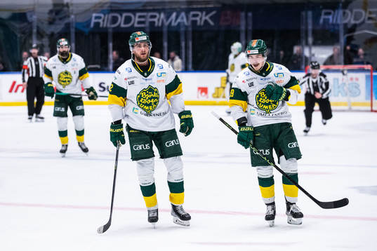 Björklövens spelare deppar