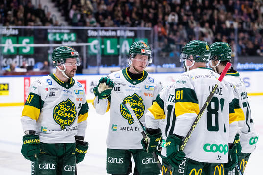 Björklövens spelare deppar