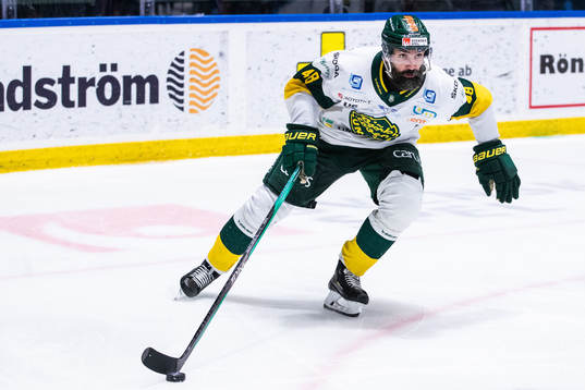 Björklövens Daniel Rahimi