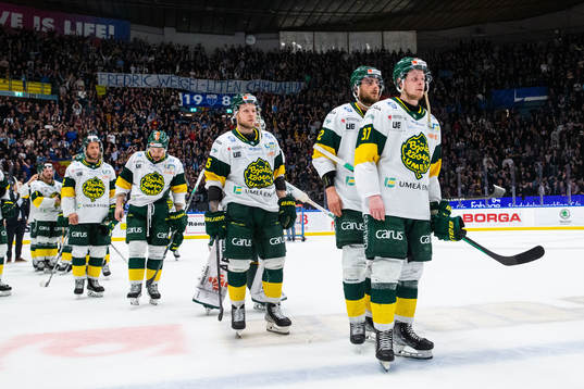 Björklövens spelare deppar