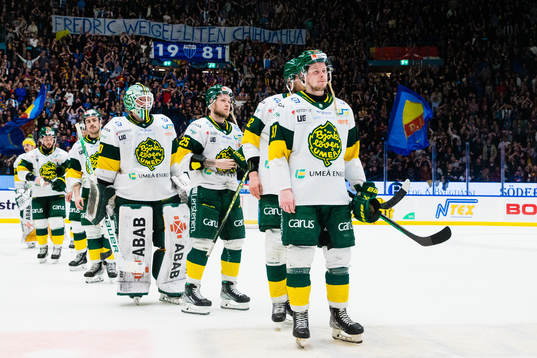 Björklövens spelare deppar