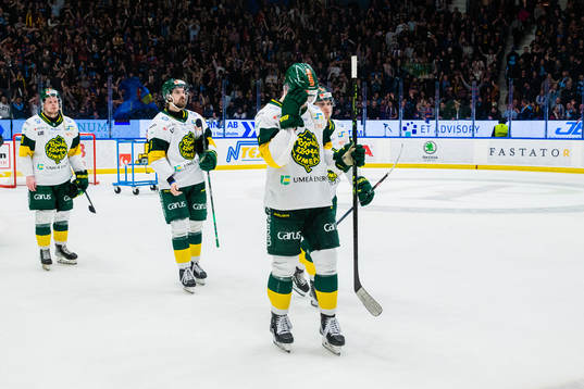 Björklövens spelare deppar