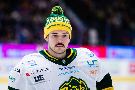Björklövens målvakt Alex D’orio