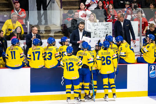 Head coach Ulf Lundberg of Sweden