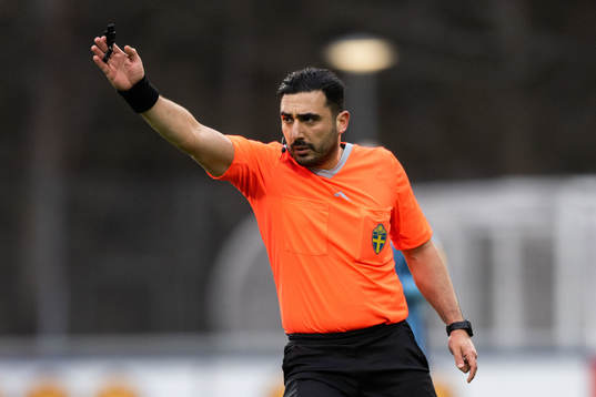 Domare Paul Shamoun