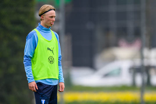 Daniel Gudjohnsen