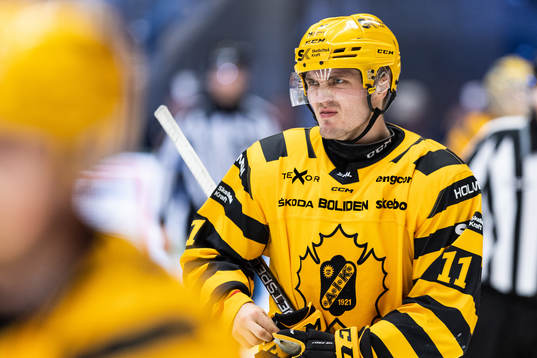 Skellefteås Max Lindholm deppar