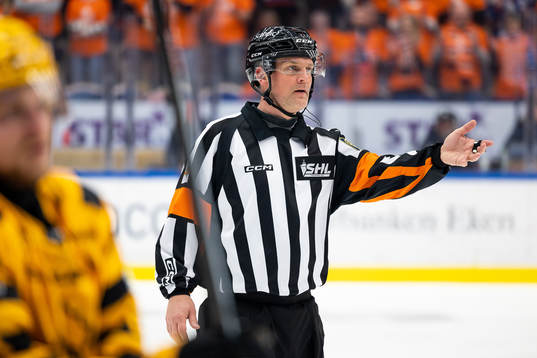 Domare Mikael Nord