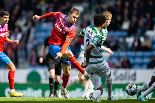 Helsingborgs Erik Ring
