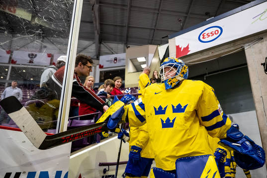 Goaltender Sara Grahn  of Sweden