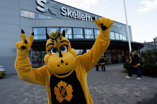 Skellefteå AIK’s maskot Buddy