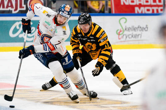 Växjös Hardy Häman Aktell och Skellefteås Max Lindholm
