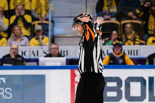 Domare Mikael Nord