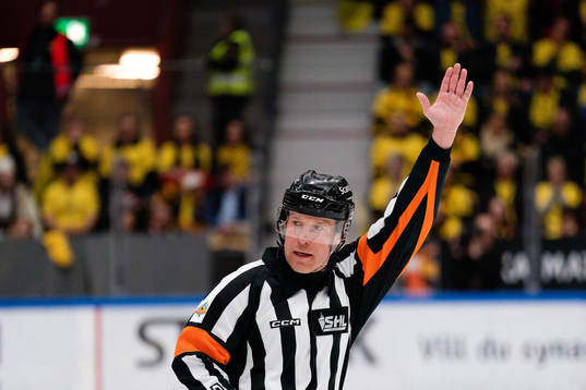 Domare Tobias Björk