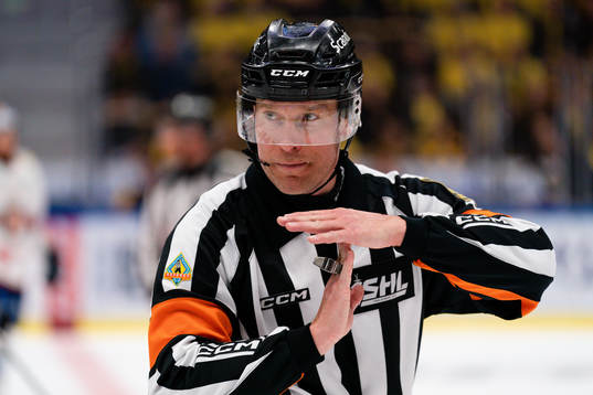 Domare Tobias Björk