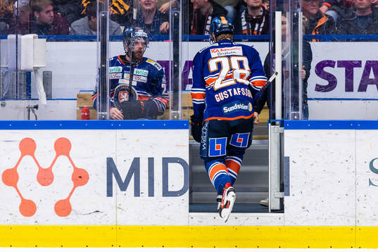 Växjös Brian Cooper och Hugo Gustafsson i utvisningsbåset