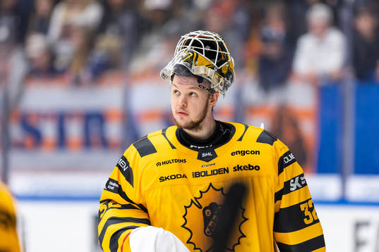 Skellefteås målvakt Linus Söderström