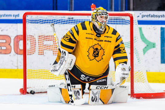 Skellefteås målvakt Linus Söderström deppar