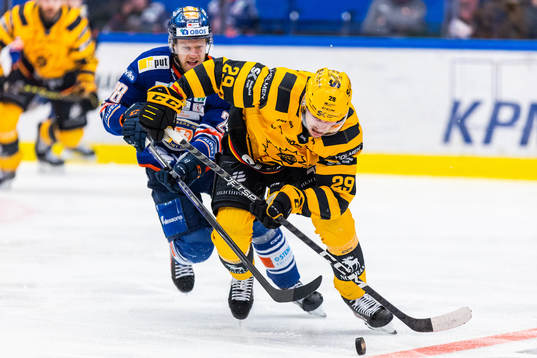 Växjös Hugo Gustafsson och Skellefteås Albin Sundsvik