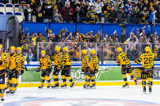 Skellefteås spelare jublar framför supportrarna