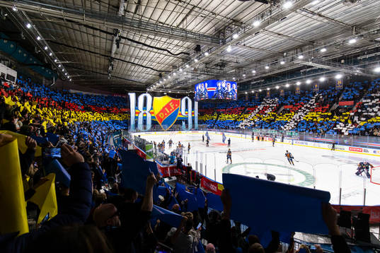 Djurgårdens tifo