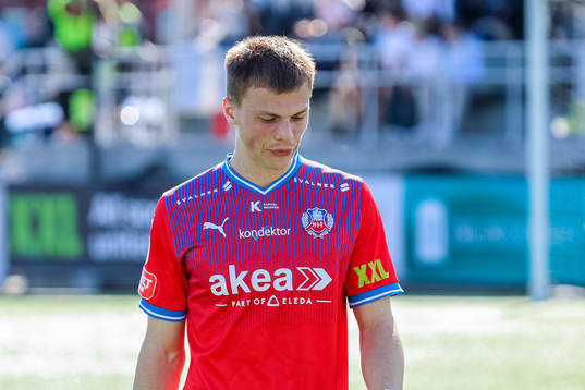 Helsingborgs Erik Ring