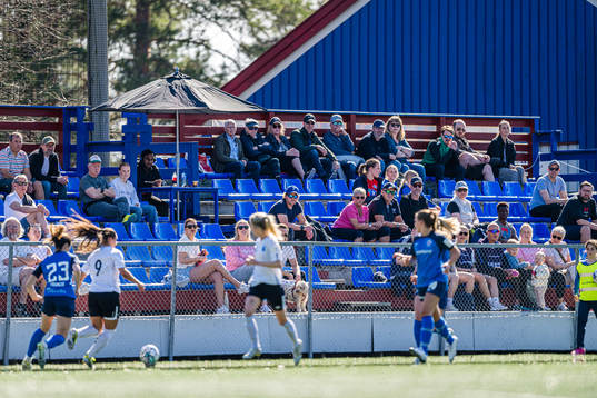 Spectators in the stands