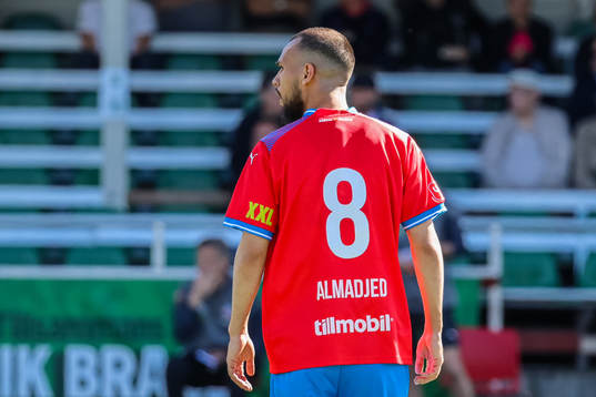 Helsingborgs Sumar Almadjed
