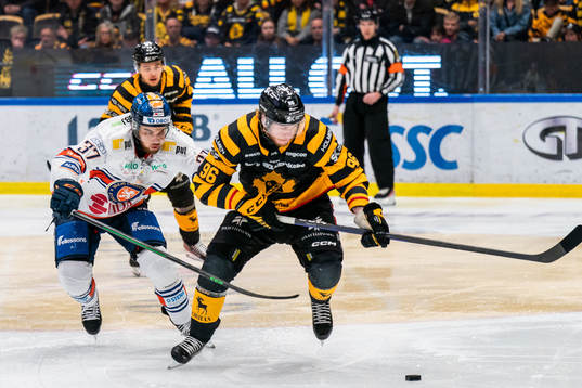 Växjös Glenn Gustafsson och Skellefteås Rickard Hugg