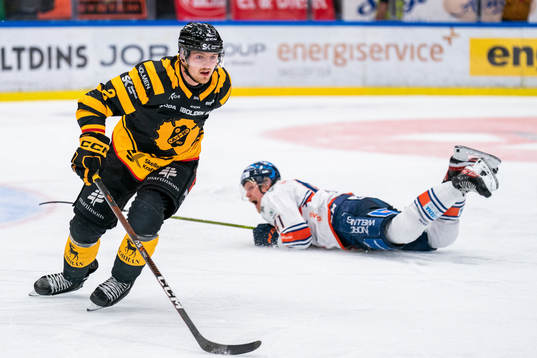 Skellefteås Linus Högberg och Växjös Ludvig Nilsson