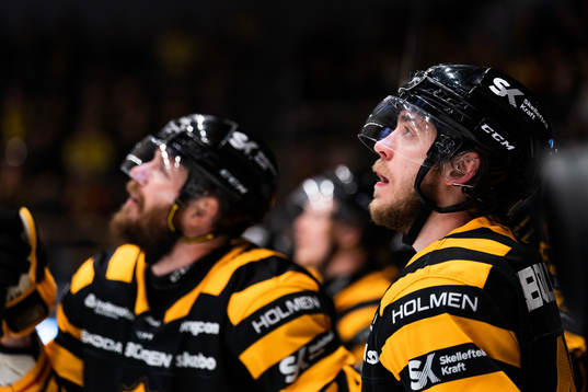 Skellefteås Andreas Wingerli deppar