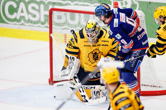 Skellefteås målvakt Linus Söderström och Växjös