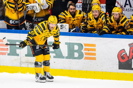Skellefteås Oscar Möller deppar