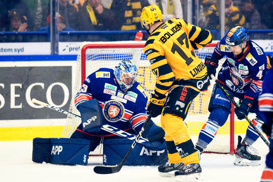 Växjös målvakt Emil Larmi