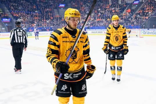 Skellefteås Simon Robertsson deppar