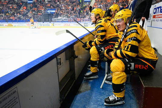 Skellefteås Max Lindholm deppar