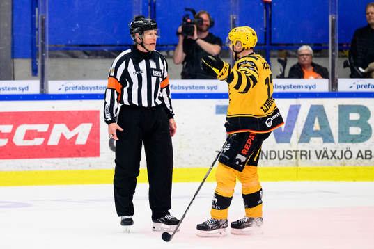 Domare Tobias Björk och Skellefteås Pär Lindholm