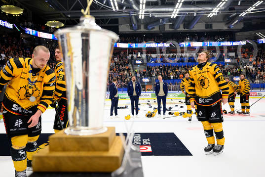 Skellefteås Linus Lindström deppar