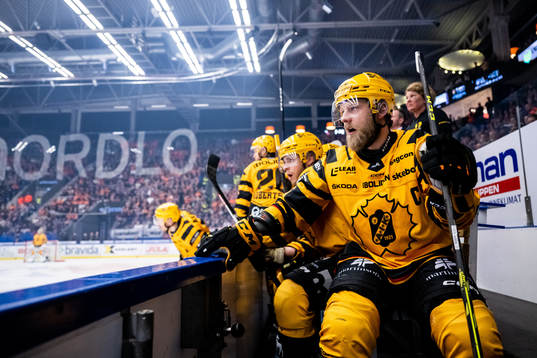 Skellefteås Oscar Möller deppar