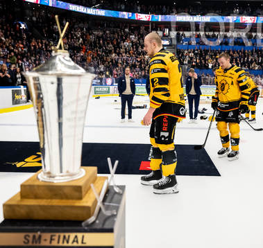 Skellefteås Linus Högberg och Pär Lindholm deppar